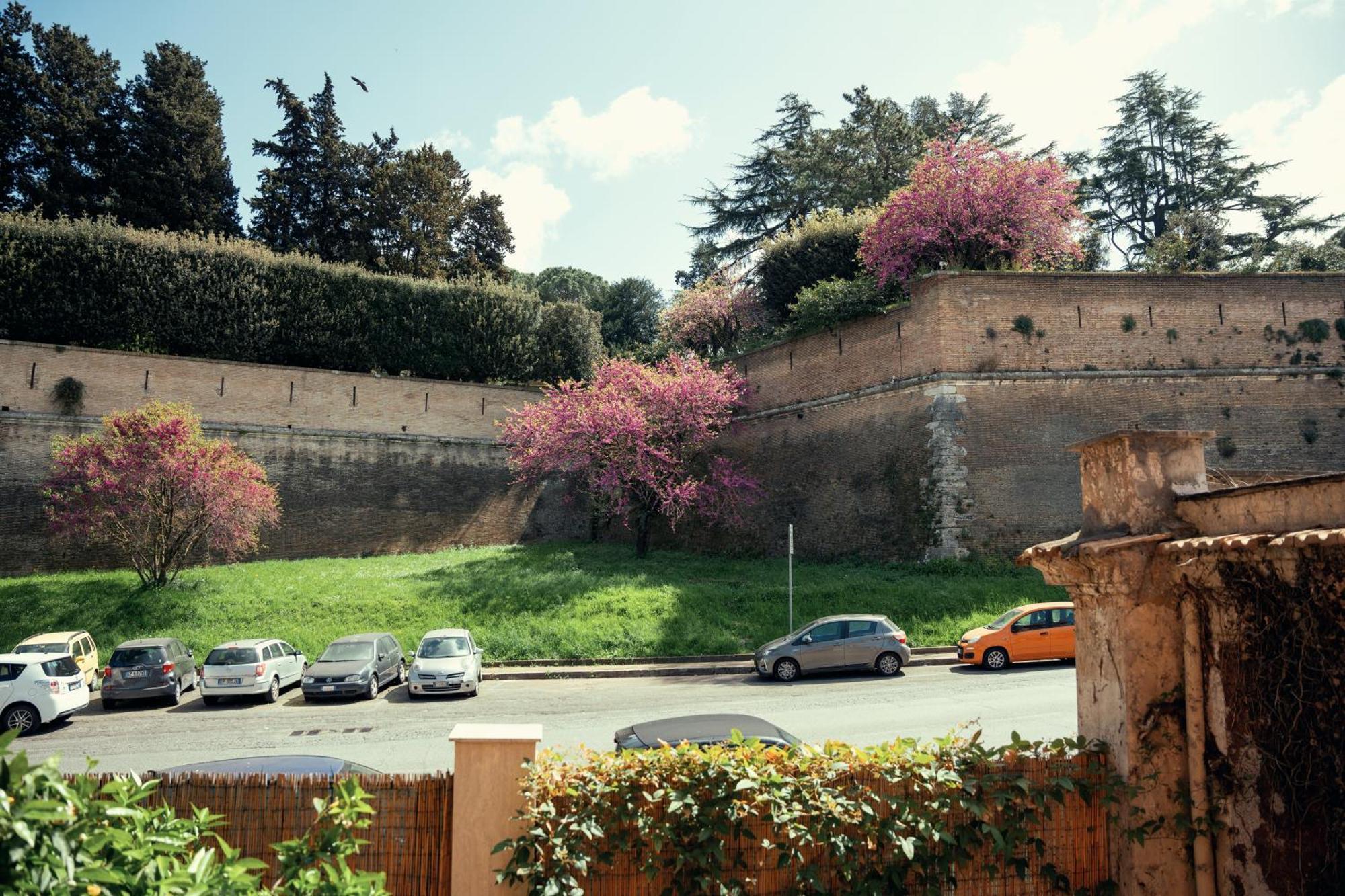 Art House Vaticano Luxury Apartment Roma Dış mekan fotoğraf