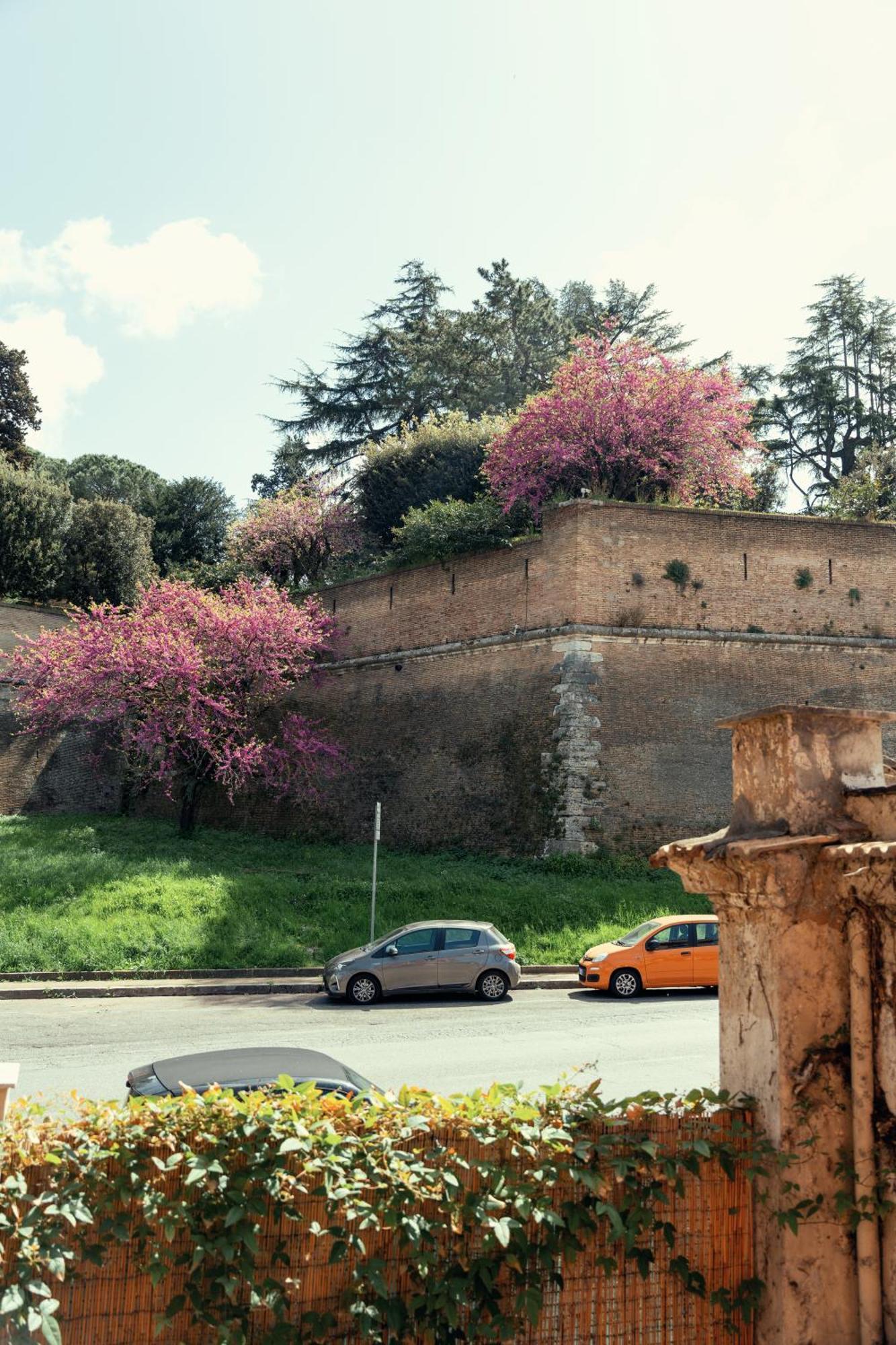 Art House Vaticano Luxury Apartment Roma Dış mekan fotoğraf