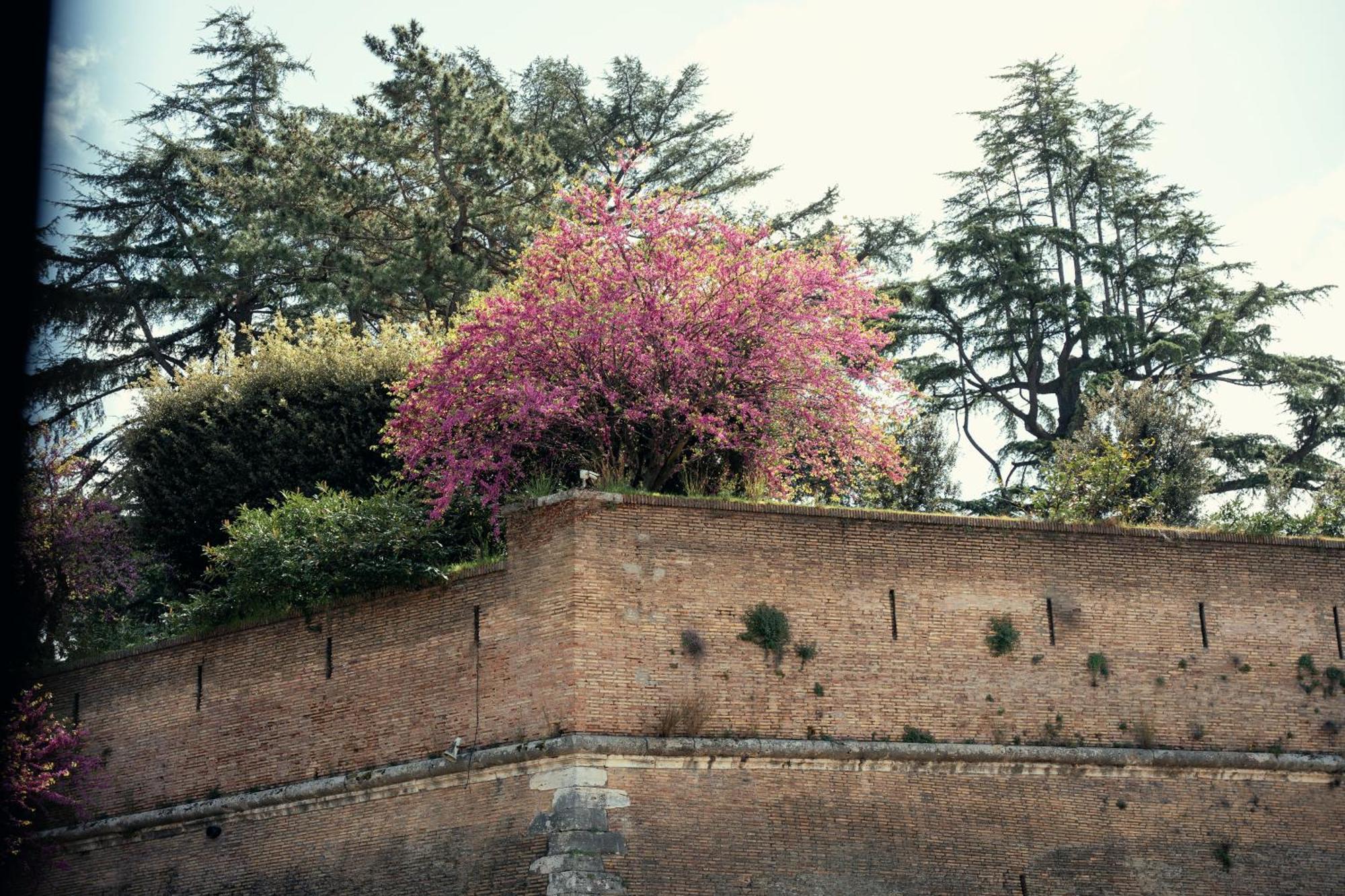 Art House Vaticano Luxury Apartment Roma Dış mekan fotoğraf